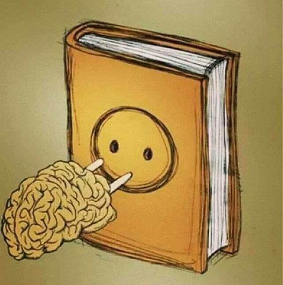 BOOK BRAIN PLUG.jpg